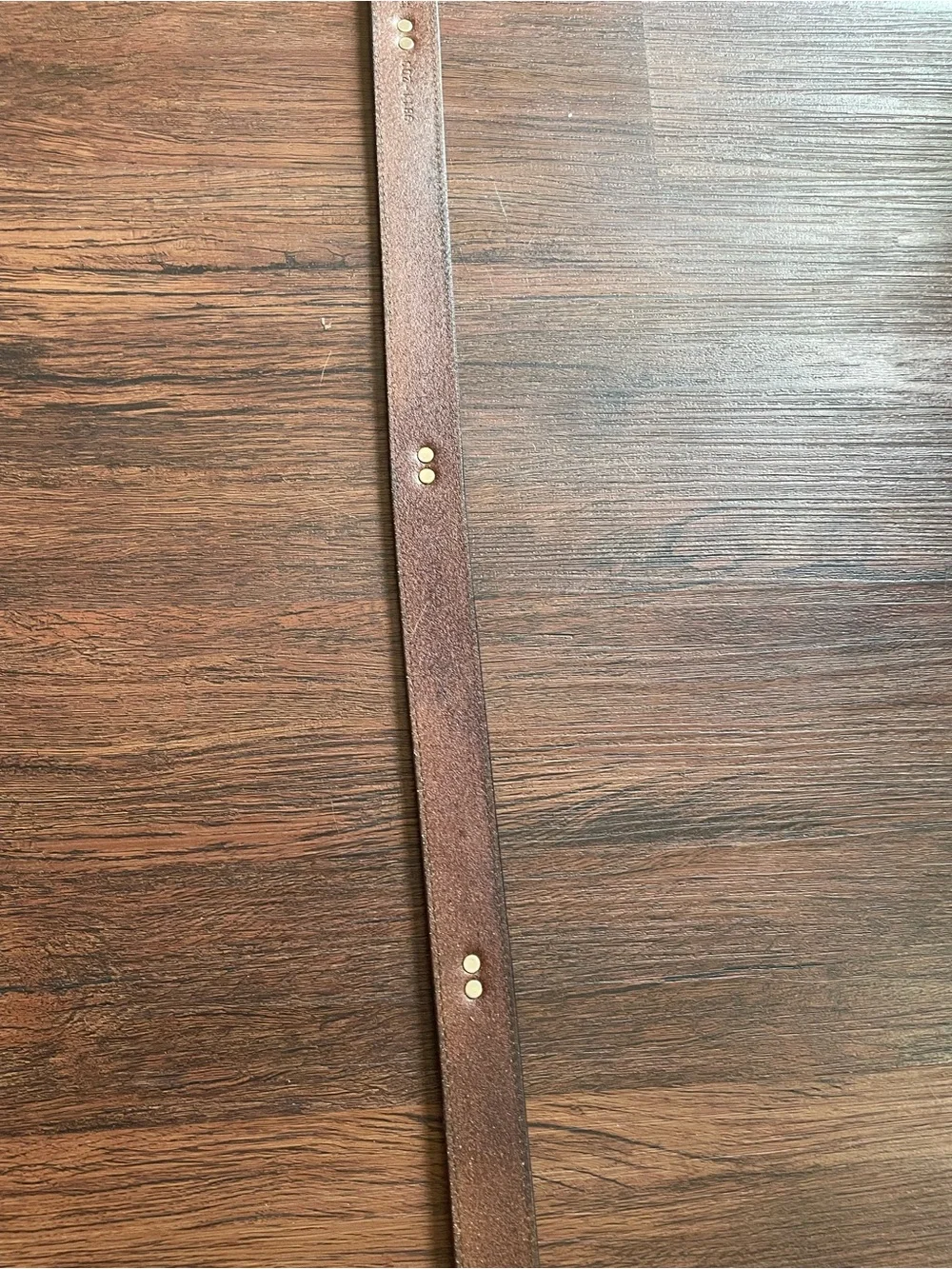 Greg Norman READ Men 42 Italian Leather Conchos Belt Shark SilverTone Hardware